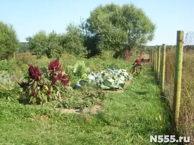 Продам дом 43 м2 в деревне фото 4