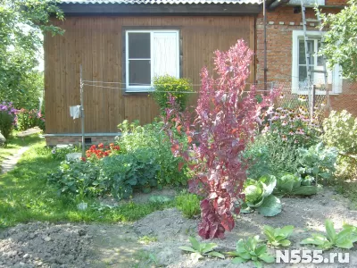 Продам дом 43 м2 в деревне фото 5